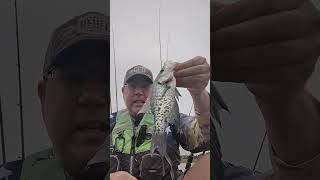 Coike catches crappie 😲