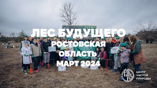 30 000 деревьев в Ростовской области|Лес будущего