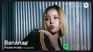 YOUNG POSSE — Bananas (Acapella/Vocals Only)
cover ib: janettes (remade)
hey! I hope you have a great day :)
please do not repost with or without credit, give credit if you use this instrumental/acapella :0
#kpop #kpopinstrumental #kpopacapella #youngposse YOUNG POSSE — Bananas (Acapella/Vocals Only)