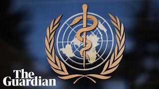 Coronavirus: WHO hold outbreak briefing on latest world developments – watch live
