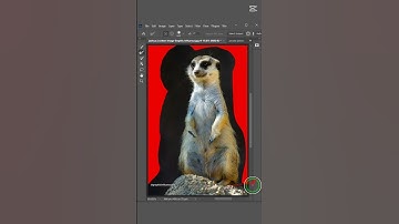 REFINE Your Hairs in SECONDS with Photoshop Background Magic! #shorts #short