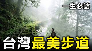 台灣最美的10條步道！去過3個算你厲害，全部去過的就太幸福了【大開眼界】