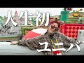 【大阪旅行 最終回】人生初！ユニバーサル・スタジオ・ジャパンで遊び尽くす！