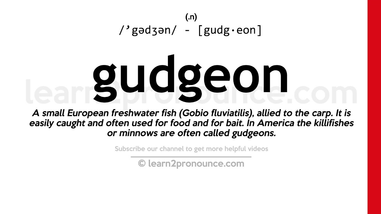 Pronunciation of Gudgeon Definition of Gudgeon YouTube