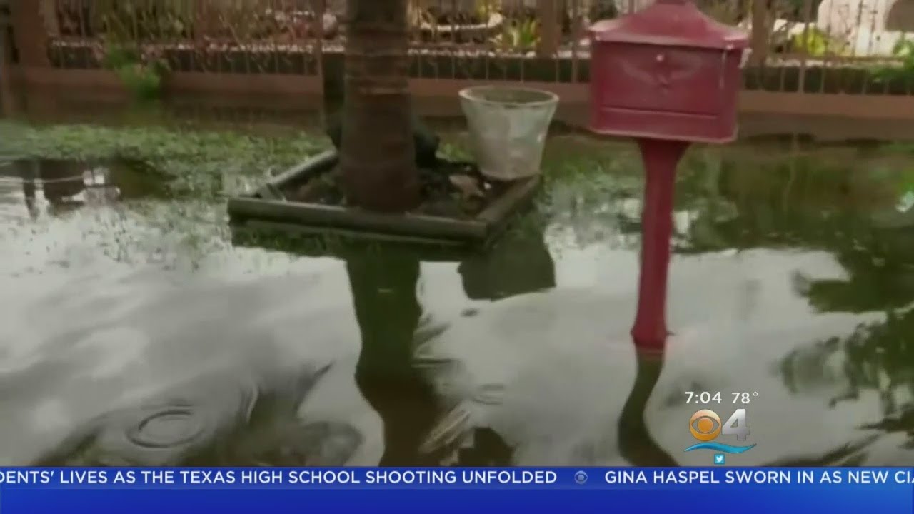 Heavy Rains Cause Flooding Across South Florida - YouTube