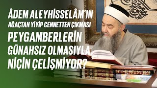 Âdem Aleyhisselâmın Cennetten Çıkarılması Peygamberlerin Günahsız Olmasıyla Niçin Çelişmiyor?