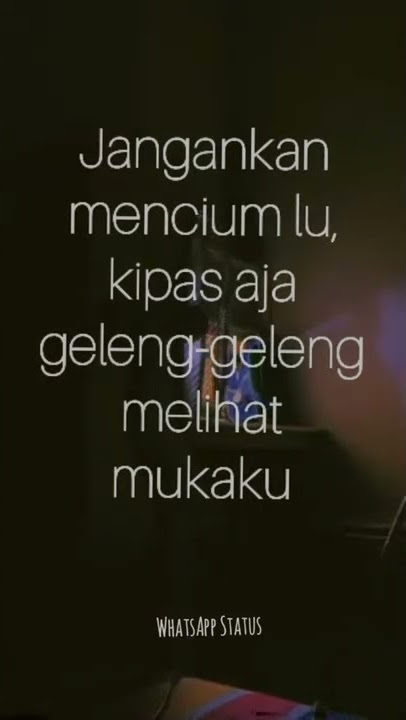 Story Wa 30 Detik