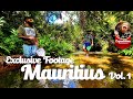 Mauritius   new shrimp species  and exclusive under water footage vol 1