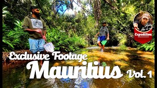 Mauritius  - New Shrimp species  and exclusive under water footage. Vol. 1