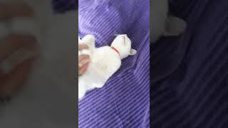Annemle Masaj Zamanı