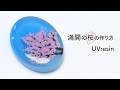 【UVレジン】満開の桜が彩る、青空のアクセサリー