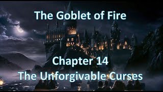 ⚜Harry Potter⚜ Audio in Korean / The Goblet of Fire_Chapter14 The Unforgivable Curses