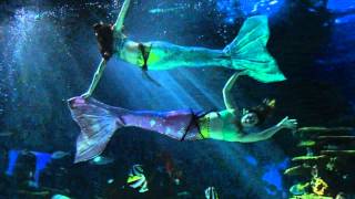 Gatlinburg, Ripley's Aquarium Mermaids (Allison and Rachel)