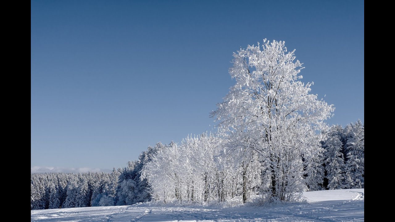 WINTER CALMING MUSIC || AESTHETIC || PixelDreams