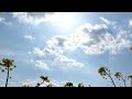 眼球綺譚 戸川純さん 弾き語りカバー