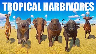 Tropical Herbivores Animals Speed Races in Planet Zoo included Buffalo,  Capybara, Elephant, Nyala