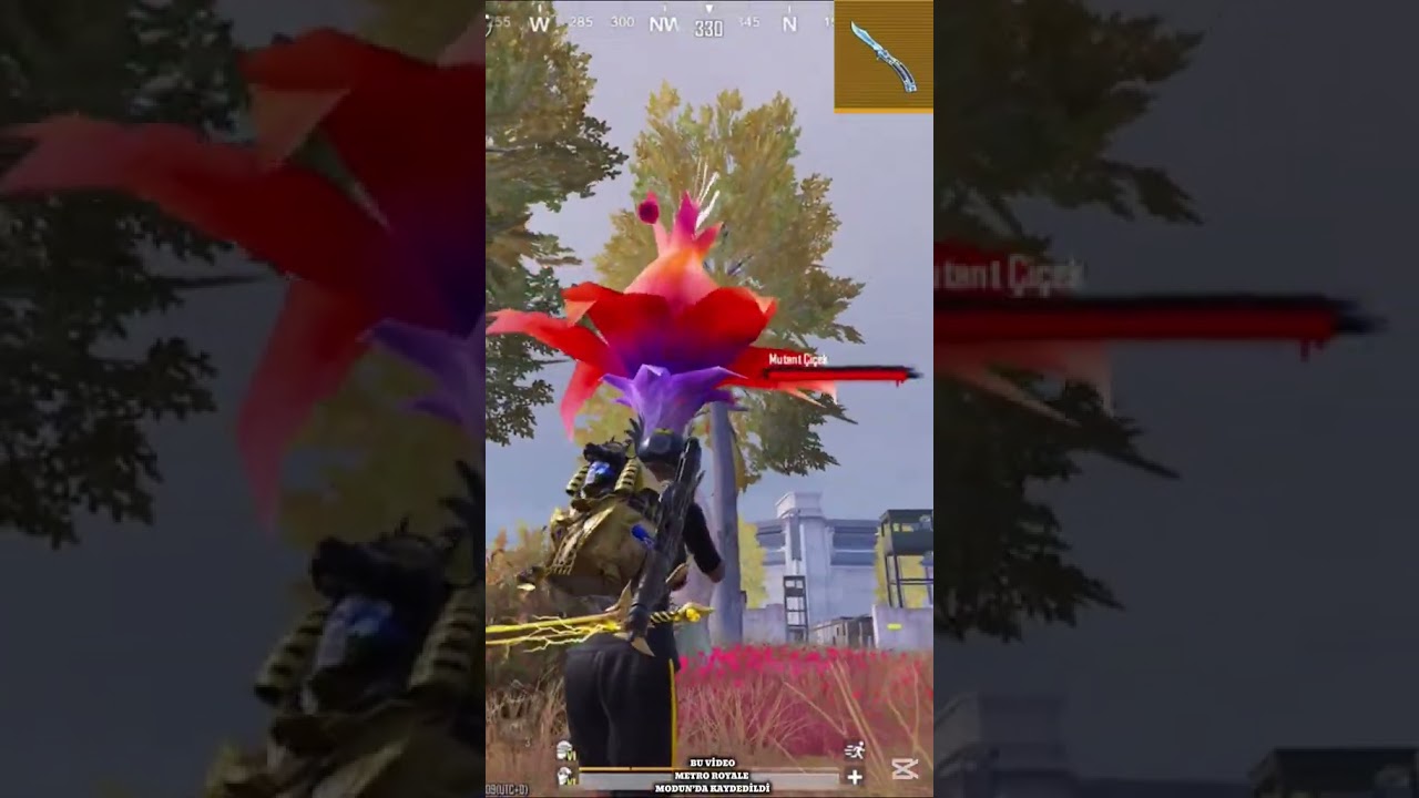 В первый день я буду искать бабочку.