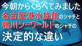 日本のシャチの家系図の変遷 1998 年 Youtube 日本のシャチの家系図の変遷 1998 年 Youtube