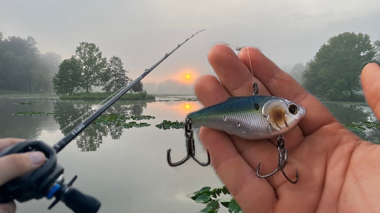 Fall Bass Fishing With Lipless Crankbait!