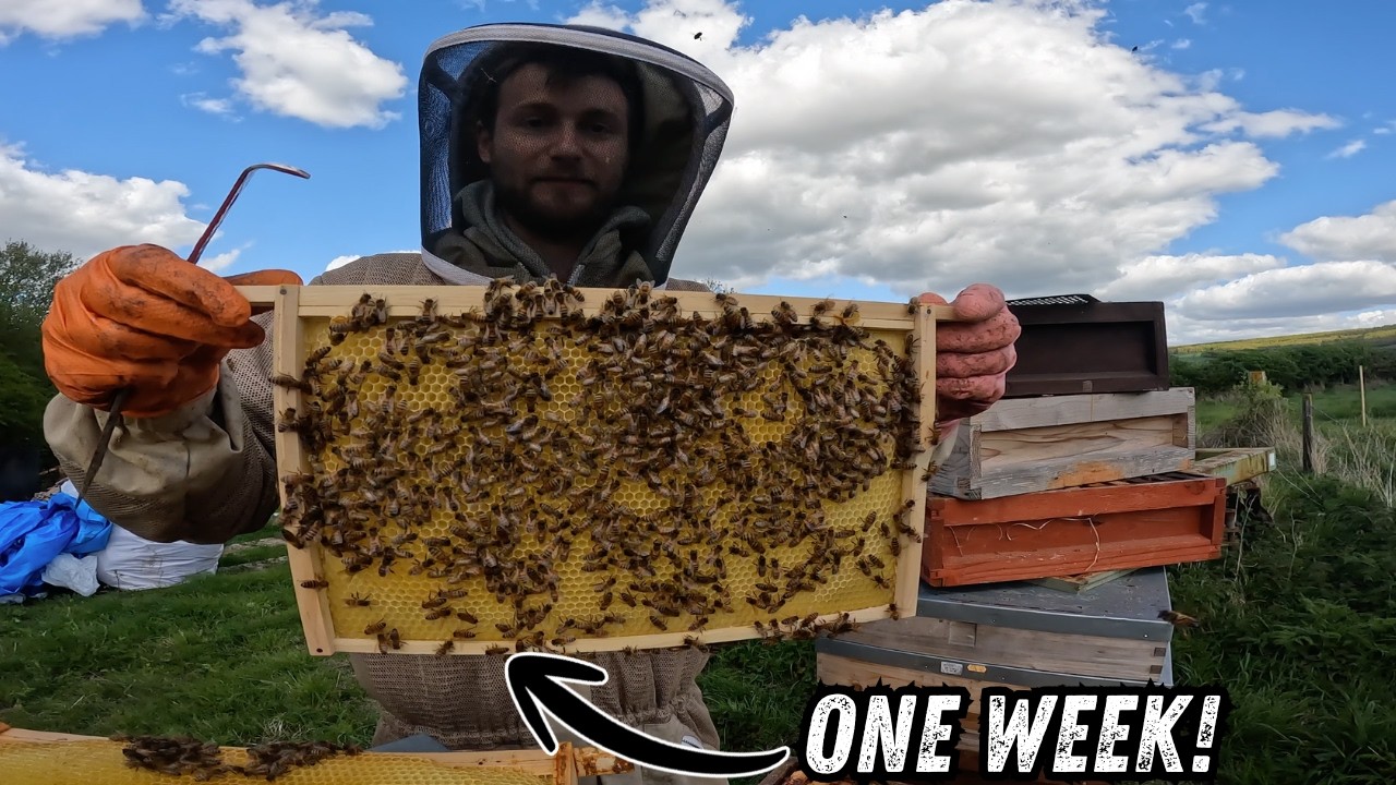 Beekeeper Proved VERY Wrong! - YouTube