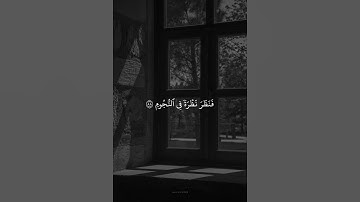 تلاوة جميلة للقارئ عاصم اللحيدان 🌿 سورة الصافات 🌿