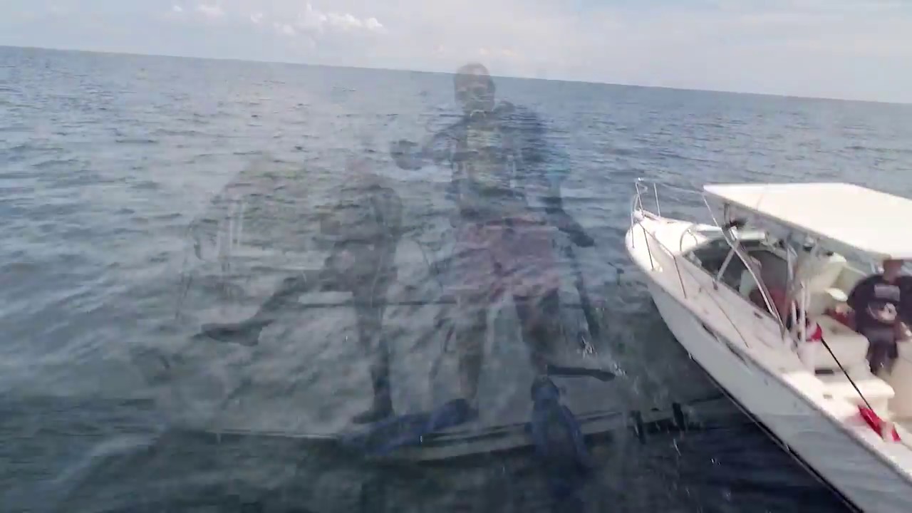 Jacksonville's Diving and Fishing Reefs YouTube