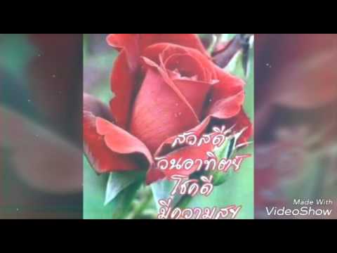 รักเธอไม่มีวันหยุด
