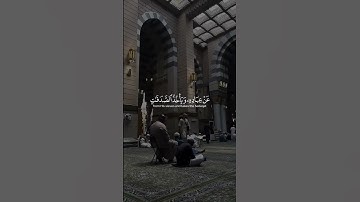 تلاوات الشيخ ياسر الدوسري #القرآن_الكريم #تلاوة_خاشعة