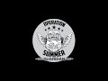Operation Summer Guardian the first 3 Weeks