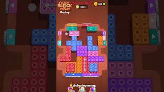 Screw Block Escape Level 40 Solution Walkthrough