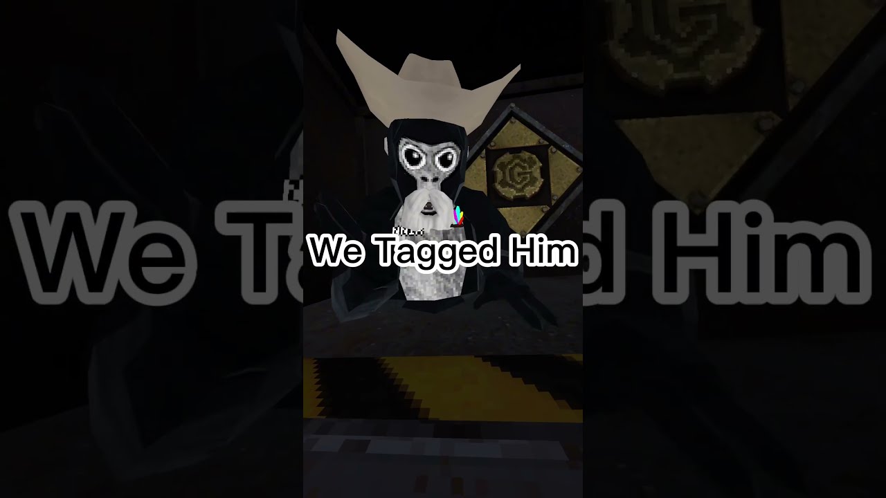 Thank You Gorilla Tag Gorillatag Gorillatagquest Vr Gtag