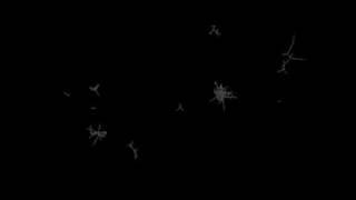 Network Decomposition Using Hierarchical Clustering