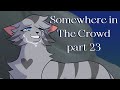 Somewhere In The Crowd // Part 23 // Silverstream &amp; Graystripe