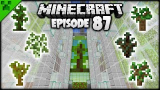 Celebrity FINISHING The Minecraft Tree Farm! | Python's World (Minecraft Survival Let's Play) | Episode 87 Profile