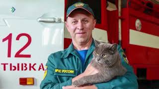 В пожарной части Выльгорта провожают на заслуженный отдых пушистого талисмана – кошку Лушу.