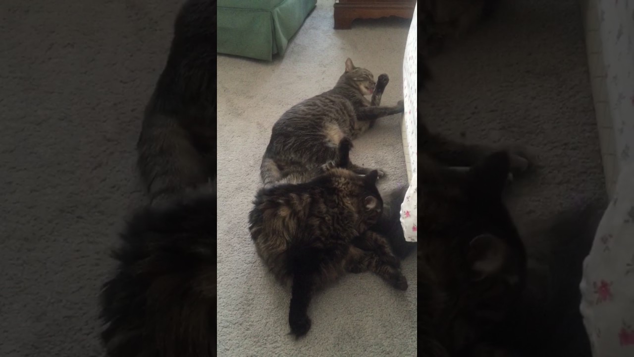 Ayo and his sister Nina taking a bath.