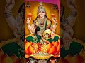 Aum Jai Laxmi Mata 🌹💐🥀🪷🪷🪷🪷