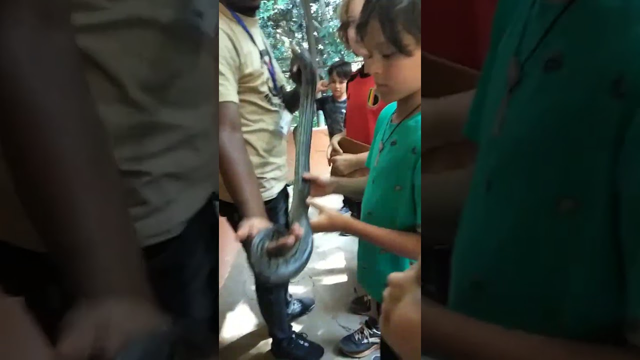 🤩Nairobi National Museum🤑 @Traditional Village Life