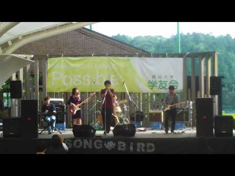 sumika (copy2)