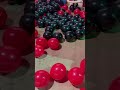 The Mesmerizing Magic of Red and Black Bloom Revealed