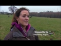 Ballyhenry Angus Organic Farm on Ear to the Ground FULL Story