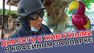 Диалоги С Животными В Кофейном Зоопарке