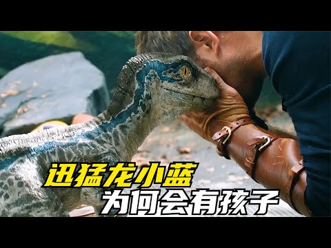为什么迅猛龙小蓝在没有老公的情况下，也能让自己怀孕呢？