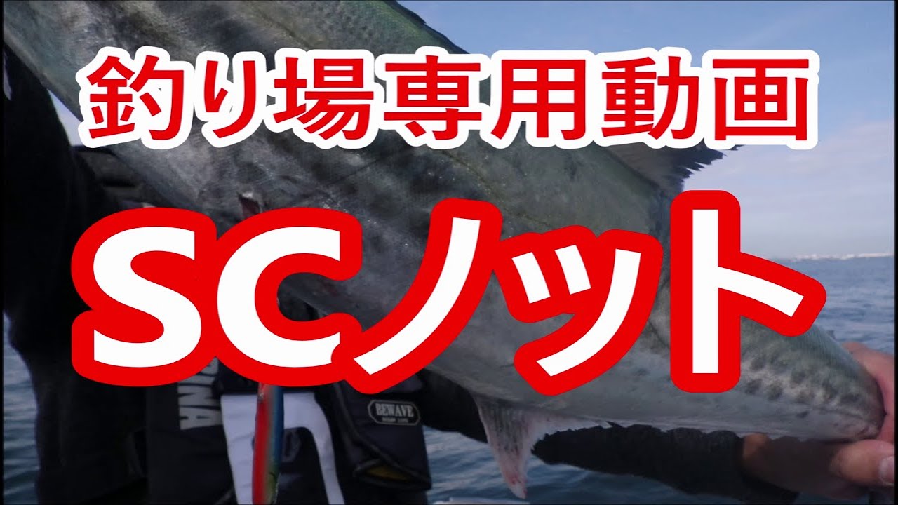 Peとリーダーの結び方 締め込みがカギ ガイド干渉が少ないノット Youtube