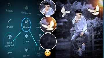 Snapseed Grey And Bird Effect Photo Editing Tricks 🔥 | Snapseed Background Colour Change Tutorial