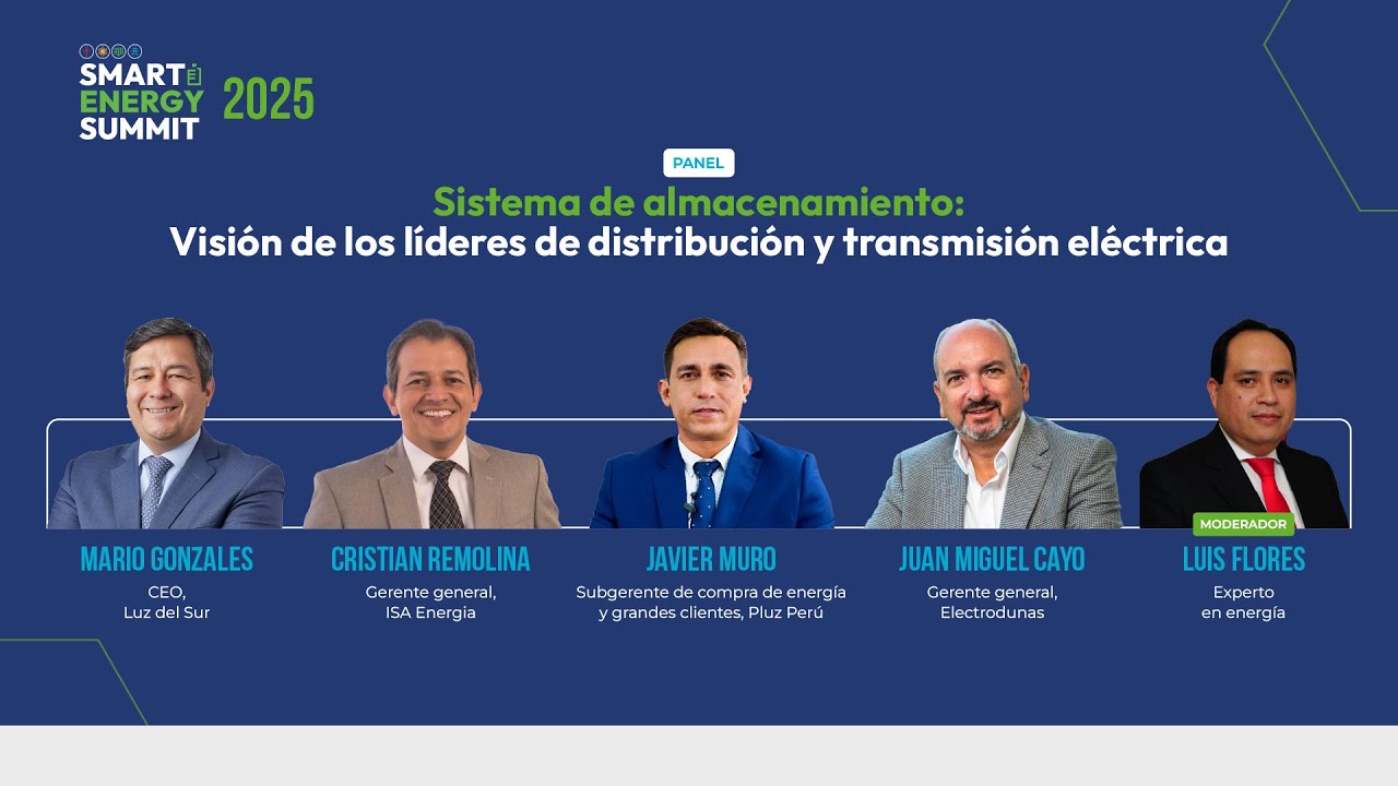 Panel: Sistema de almacenamiento: Visión de los líderes de distribución y transmisión eléctrica