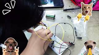 Celebrity Basic Electronics Activity Group 4 BSIT 1-5 Wealth