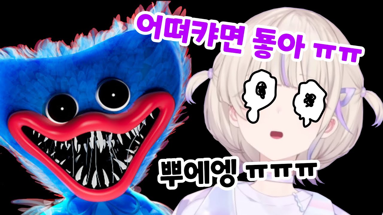 자타공인 쫄보 하디몌는 파피가 무섭다 ㅋㅋ