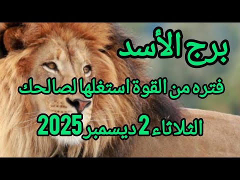 برج الأسد فترة من القوة استغلها لصالحك توقعات يوم الثلاثاء 2 ديسمبر 2025