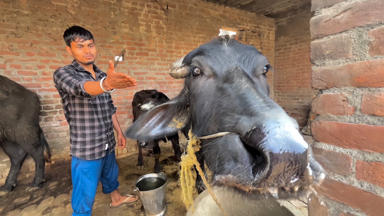 Yeah Bhi Kuch Kehna Chahti Hain 😅